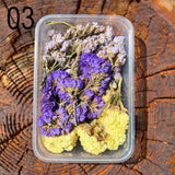 Dried Flower Pack - Pressed