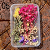 Dried Flower Pack - Pressed