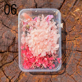 Dried Flower Pack - Pressed