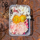 Dried Flower Pack - Pressed