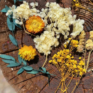 Dried Flower Pack - Pressed