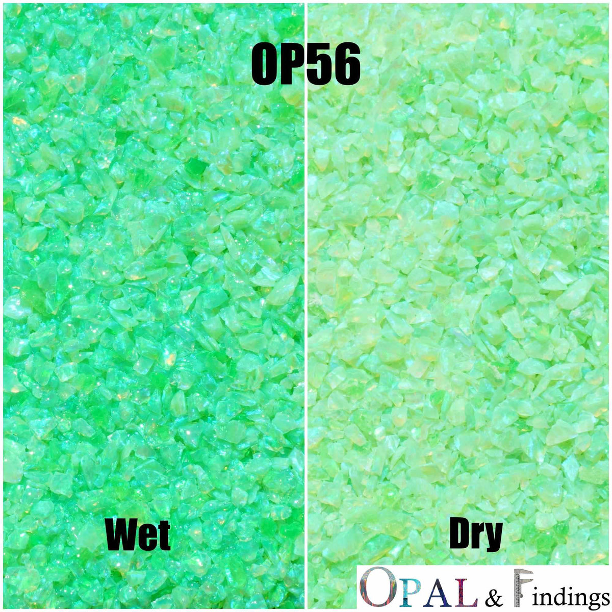 Honeydew (OP56) Green Crushed Opal DIY Jewelry Rings Inlay Pens Urns ...