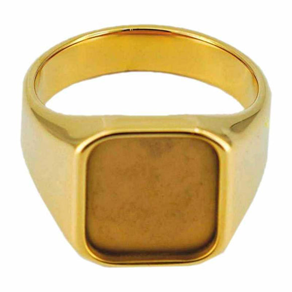 Gold Signet Ring - Amara Black | Ana Luisa | Online Jewelry Store At Prices  You'll Love